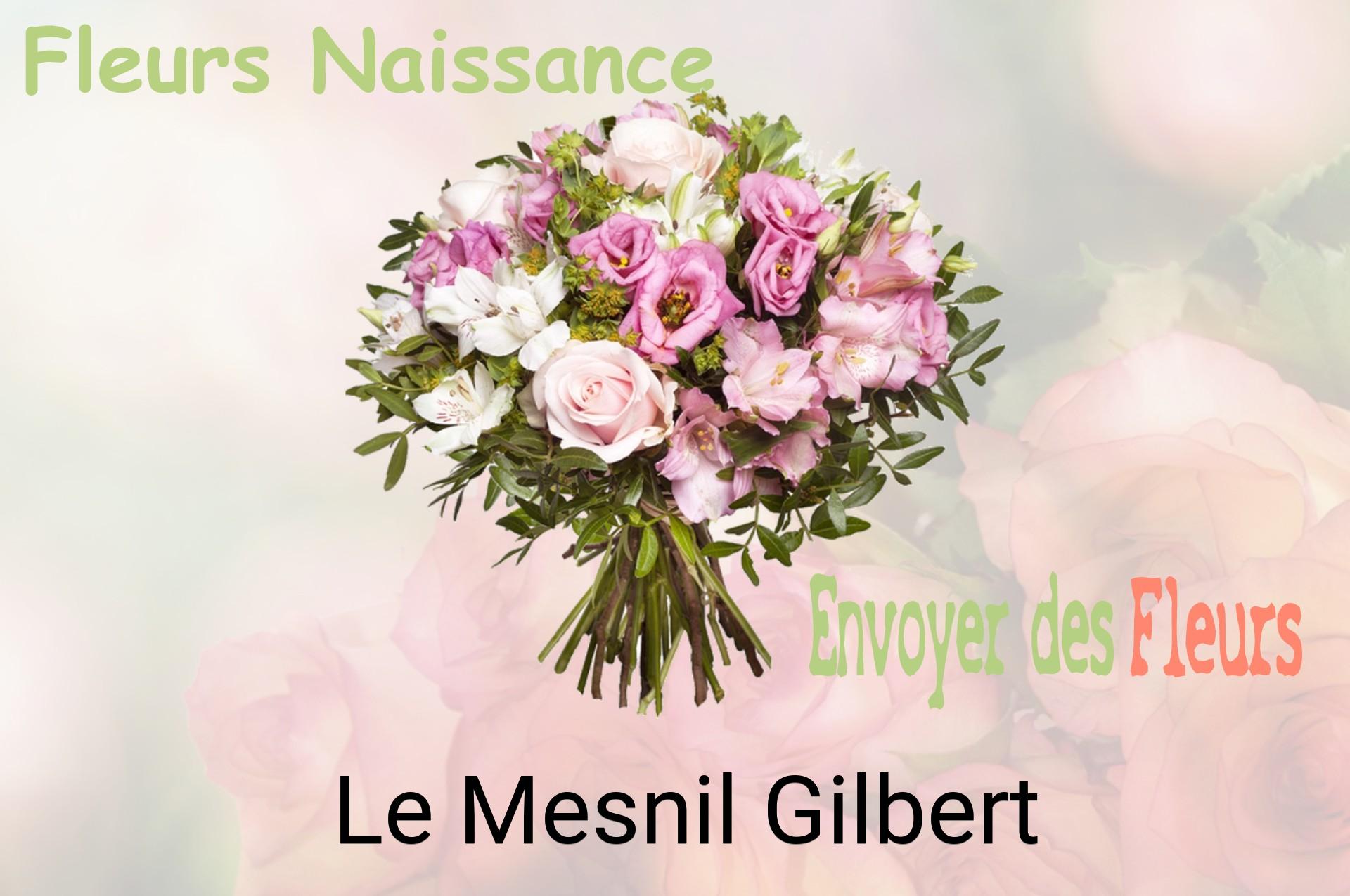 Bouquet de fleurs de naissance livré à Le Mesnil-Gilbert